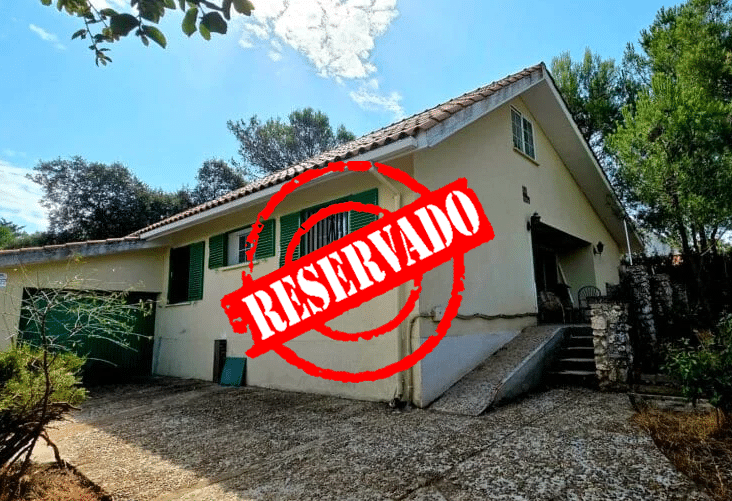 20250813_113806-1024x768