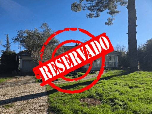 20260107_115527-1024x768